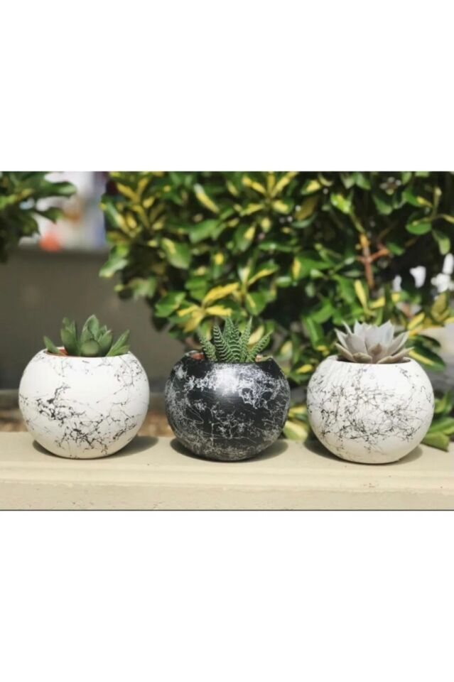 Dekorasyon Ürünleri